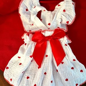 Adorable Valentine Hearts Doggy Dress NWT